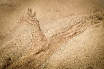 A HDR image of a dentritic pattern left in the sand as the tide has receded on Balnakeil beach,...