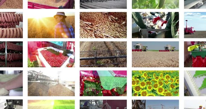 Montage industrial production in video wall. People working in a factory, construction site, agriculture, food and metal industry, energy production, farm animal, harvesting crops, time lapse