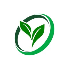 Green circle button. Eco symbol icon