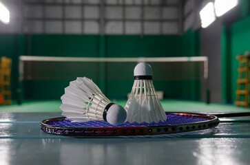 The shuttlecock on the racket in the badminton court Soft focus images
