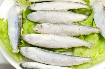 Frozen capelin fish laid out on lettuce leaves