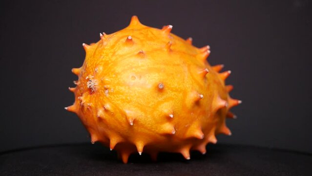 รูปภาพMelano เลือกดูภาพถ่ายสต็อก เวกเตอร์ และวิดีโอ1,519 Adobe Stock