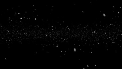 Real snow on black background. Snow overlay effect on the black background for photos. White Powder...