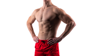 abs and torso. bodybuilder with abs isolated on white. cropped view of bodybuilder with abs