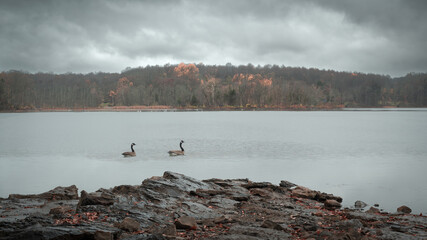Misty November Morning on Swartswood Lake New Jersey