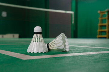 shuttlecock on Badminton court Soft focus images