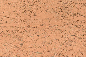 Light brown decorative plaster abstract bark beetle pattern wall texture background