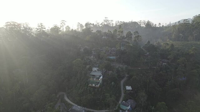 Jungle Huts at Dawn Sri lanka drone view