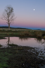 Tamajón lagoon, Guadalajara, Spain