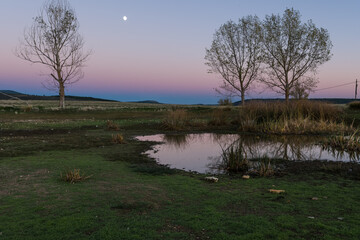 Tamaj&oacute;n lagoon, Guadalajara, Spain