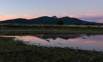 Tamaj&oacute;n lagoon, Guadalajara, Spain