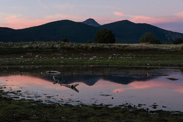 Tamaj&oacute;n lagoon, Guadalajara, Spain