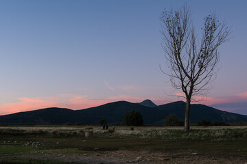 Tamaj&oacute;n lagoon, Guadalajara, Spain