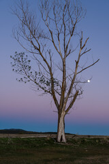 Tamajón lagoon, Guadalajara, Spain