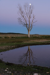 Tamaj&oacute;n lagoon, Guadalajara, Spain