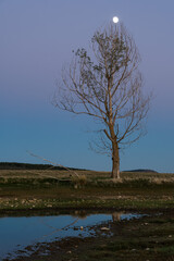 Tamaj&oacute;n lagoon, Guadalajara, Spain