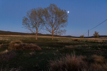 Tamaj&oacute;n lagoon, Guadalajara, Spain