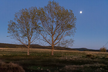 Tamaj&oacute;n lagoon, Guadalajara, Spain