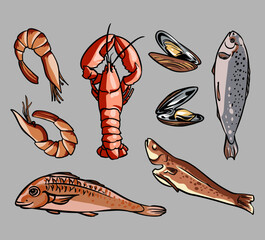 Trendy seafood flat pictures collection. Cartoon mussel, fish, shrimp, caviar, lobster, crayfish, crab, oyster and tuna isolated vector illustrations. Gourmet and nutrition concept - Powered by Adobe