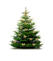 Weihnachtsbaum mit goldenen Schleifen