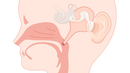 ●pixta_動画サイズ