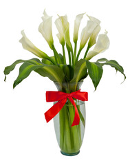 Glass vase with beautiful flowers on white background.
