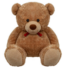 Teddy bear seated on white background.