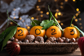 New Year 2023 is Coming Concept. Numbers written in Black Ink on clementines, oranges that are...