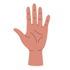 Illustration of a palm in a flat style. Hand element.