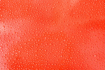 background of water drops on a red plane