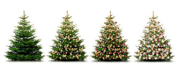 Weihnachtsbaum mit goldenen Schleifen