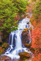 紅葉する竜頭ノ滝