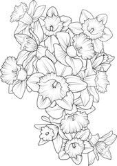 Set of a decorative stylized flower isolated on white background. Highly detailed vector illustration, doodling and zentangle style, tattoo design hand drew a sketch of flowers daffodils.