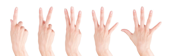 Woman hands set showing numbers from one to five. Png isolated with transparency