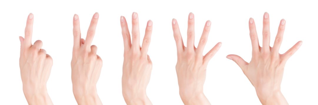 Woman hands set showing numbers from one to five. Png isolated with transparency
