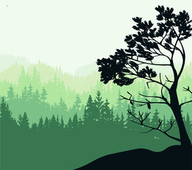 Landscape illustration. Silhouette of trees and mountains, forest, fog. Nature background. Pine tree in foreground.