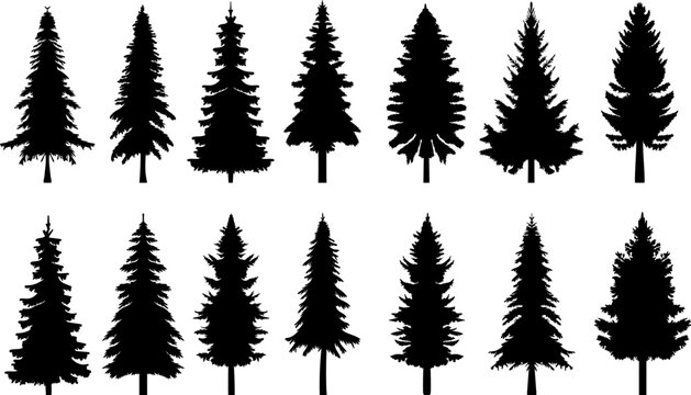 Christmas trees, fir trees set silhouette design vector isolated