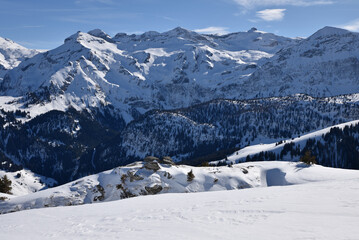 Fototapeta na wymiar Forêts et pics enneigés de l'Oberland bernois. Suisse