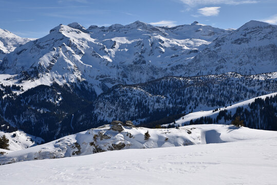 Forêts et pics enneigés de l'Oberland bernois. Suisse