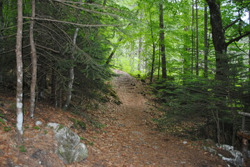hiking trails through nature 