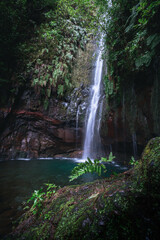 Fototapeta na wymiar Small mystic waterfall in Madeira, 25 fontes