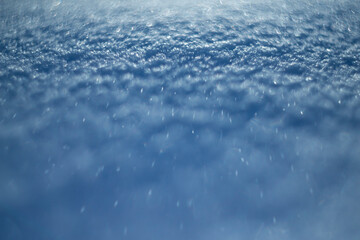 winter snow background - snow covered surface