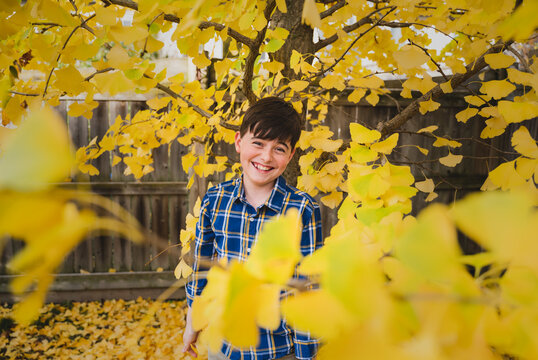 Portrait of happy boy standing in yellow leaves of tree on fall day.