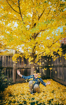 Happy boy throwing yellow gingko leaves in the air on fall day.