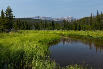 Oliver Creek in the Cloud Peak Wilderness Area of Wyoming's Bighorn Mountains