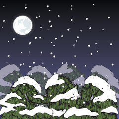 the snowy forest of the moonlit night
- 551894475