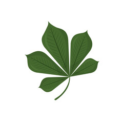 Fototapeta premium Chestnut leaves in a trendy flat style. Vector illustration isolated on white background.