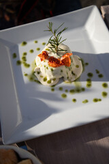 stylish appetizer with vegetables