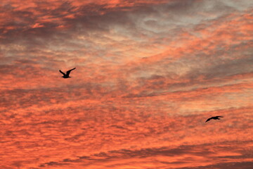 Sunset  on the sea.