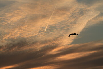 Sunset  on the sea.